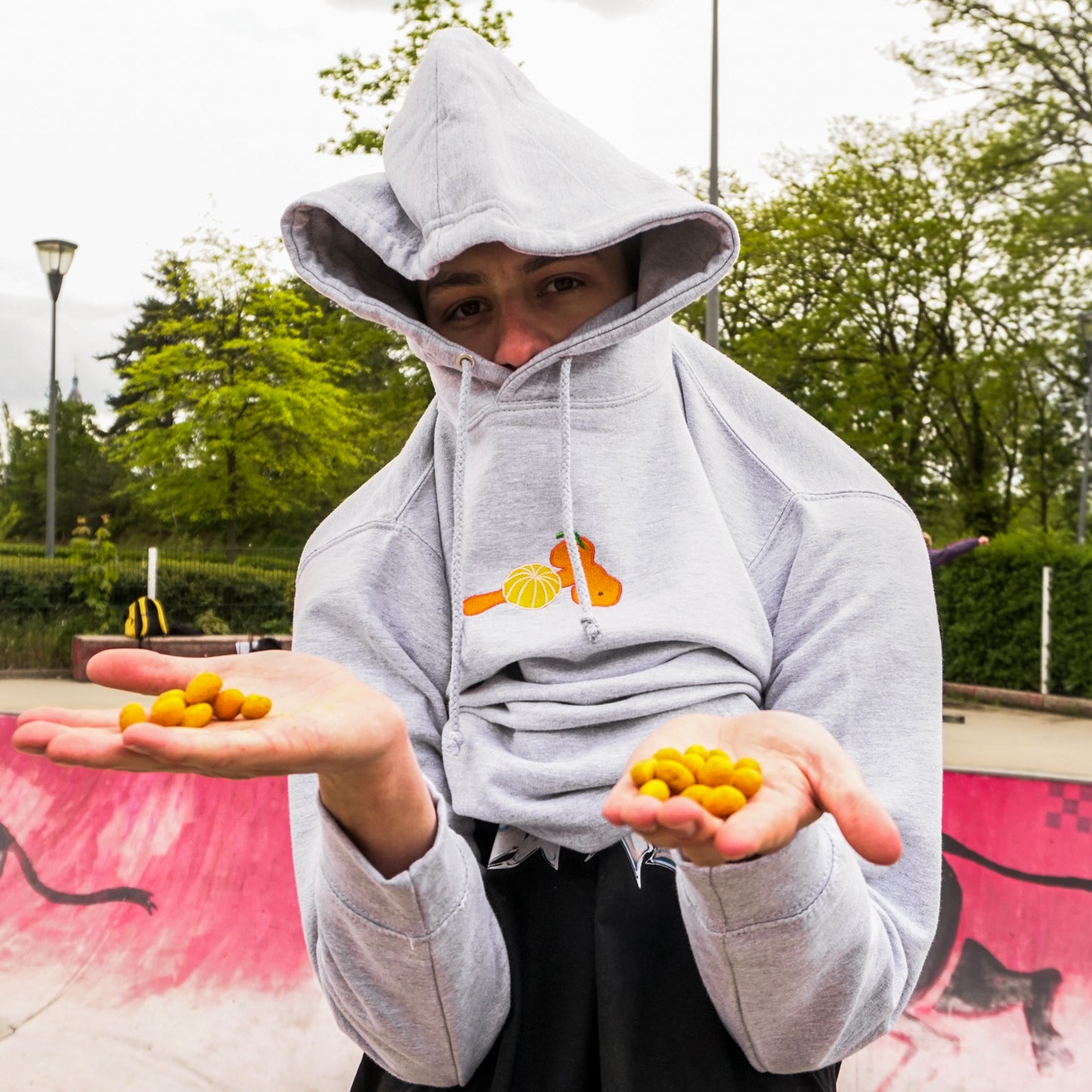 Heather Grey Mandarin Hoodie